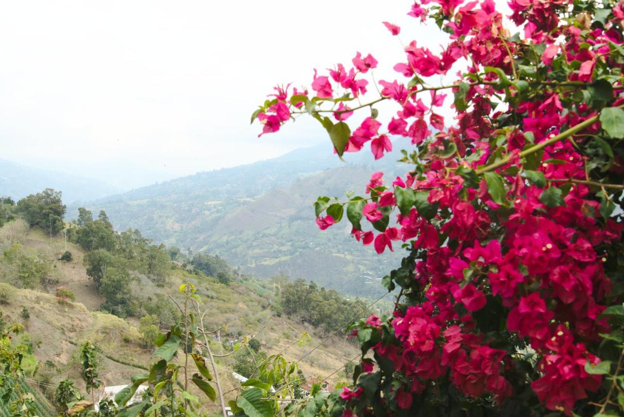 Finca Umnisa - تشواتشي المظهر الخارجي الصورة