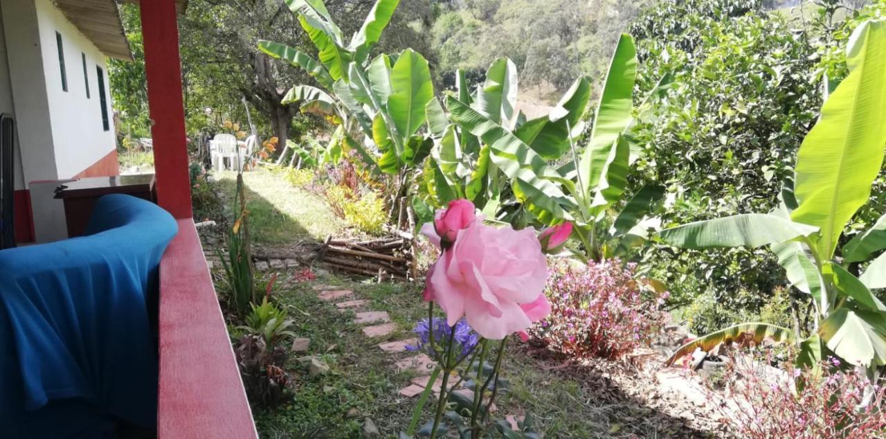Finca Umnisa - تشواتشي المظهر الخارجي الصورة