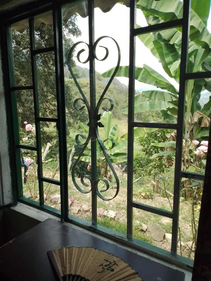 Finca Umnisa - تشواتشي المظهر الخارجي الصورة